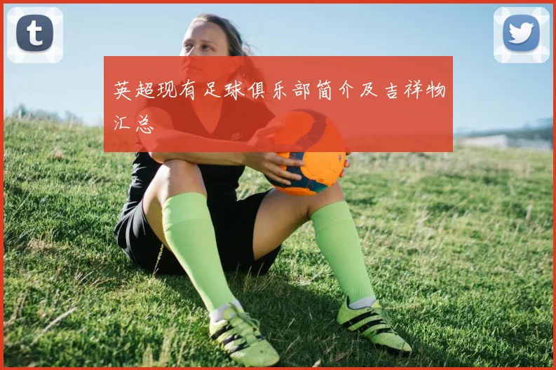 英超现有足球俱乐部简介及吉祥物汇总